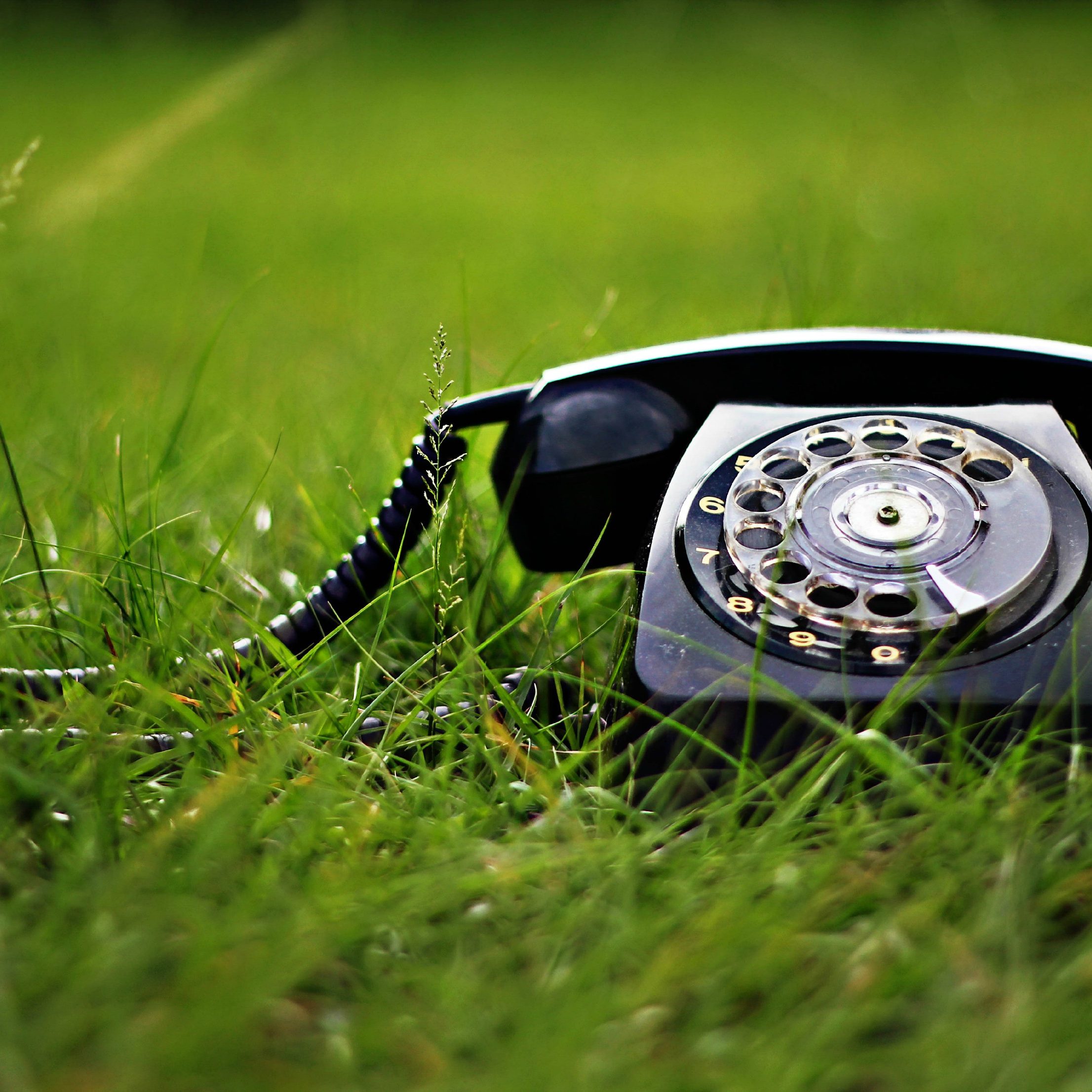 Get in touch ! Old fashioned telephone on the grass